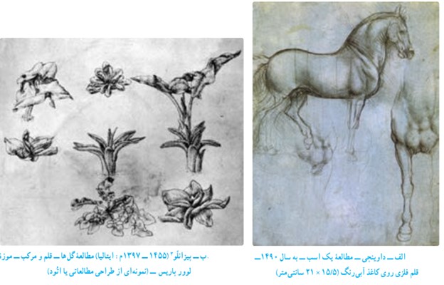 مطالعۀ يک اسب