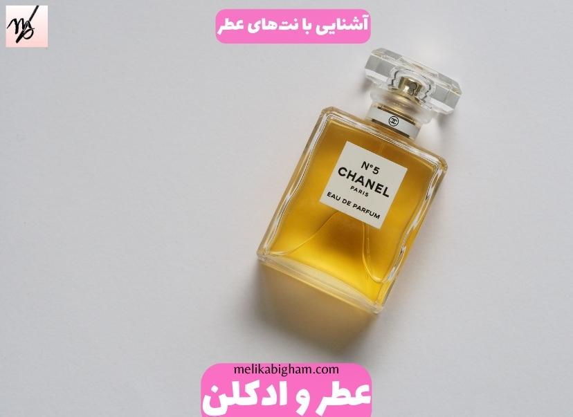 راهنمای خرید عطر آنلاین6