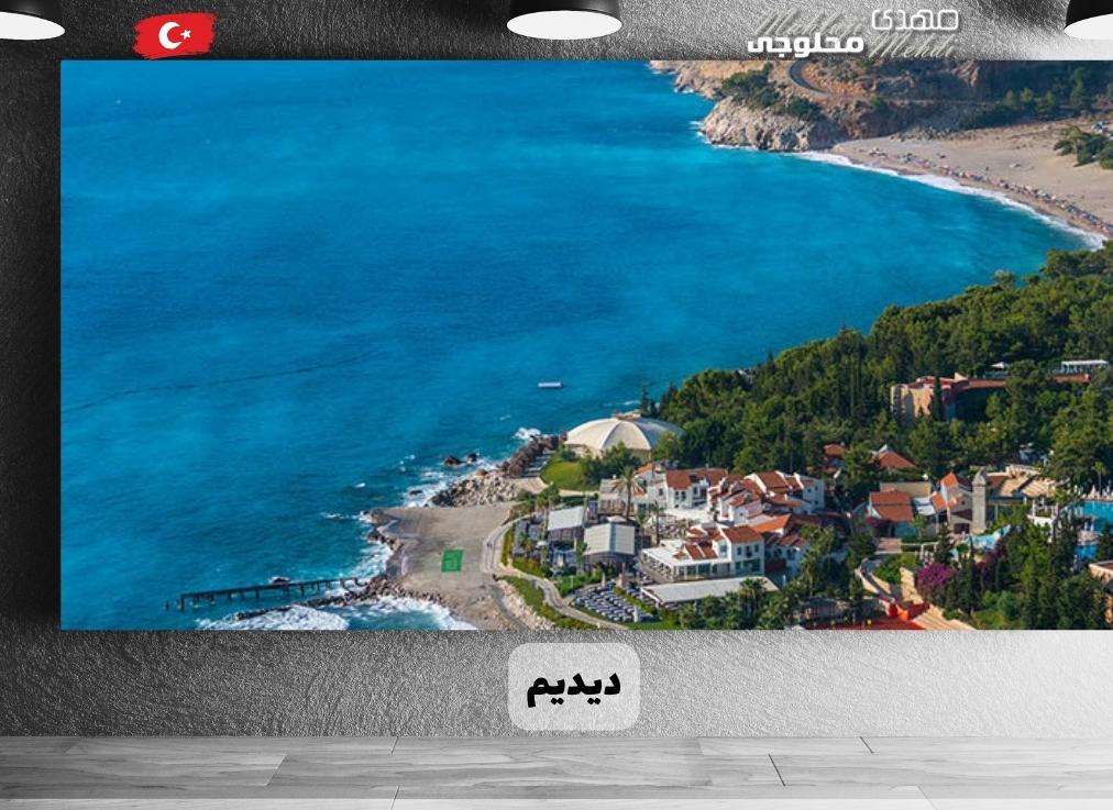 دیدیم