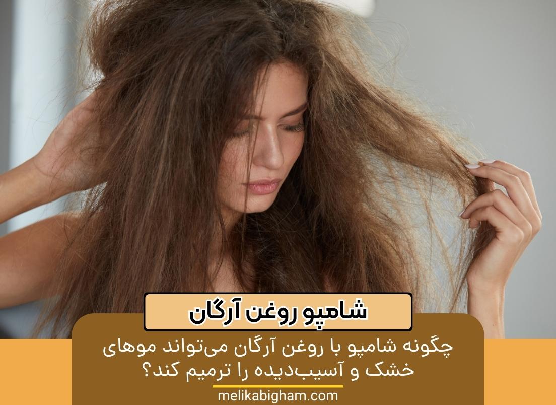 چگونه شامپو با روغن آرگان می تواند موهای خشک و آسیب دیده را ترمیم کند؟