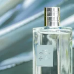 ادوتویلت مردانه منز کالکشن آگاو پاور | Men’s Collection Agave Power EDT | رایحه انرژی، قدرت و طراوت - تصویر 6