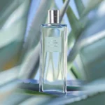 ادوتویلت مردانه منز کالکشن آگاو پاور | Men’s Collection Agave Power EDT | رایحه انرژی، قدرت و طراوت - تصویر 5