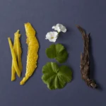 ادوتویلت مردانه گلشیر آبی – Glacier Eau de Toilette - تصویر 8