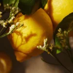 ریفیل صابون مایع لوکس لیمو و شاهپسند | Essense&Co Lemon & Verbena Refill | پاکسازی لطیف و خوشبو - تصویر 5