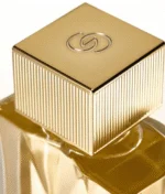 عطر پرفیوم مردانه میستر جوردانی Giordani Gold Mister Giordani Eau de Parfum - تصویر 3