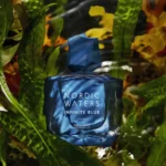 پرفیوم مردانه نوردیک واترز اینفینیت بلو Nordic Waters Infinite Blue for Him Eau de Parfum - تصویر 2