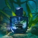 پرفیوم مردانه نوردیک واترز اینفینیت بلو Nordic Waters Infinite Blue for Him Eau de Parfum - تصویر 6