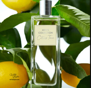 ادوتویلت مردانه سیتروس Men's Collection Citrus Tonic Eau de Toilette