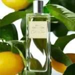 ادوتویلت مردانه کالکشن سیتروس تونیک – Men’s Collection Citrus Tonic Eau de Toilette - تصویر 5