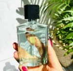 ادوتویلت مردانه اکلَت توژورس اینتنسیته – ECLAT Toujours Intensité Eau de Toilette - تصویر 5