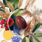 قرص تقویت مو و ناخن فیتو PHYTO PARIS PHYTOPHANERE HAIR & NAILS - Image 3